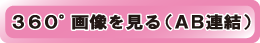 360°画像を見る